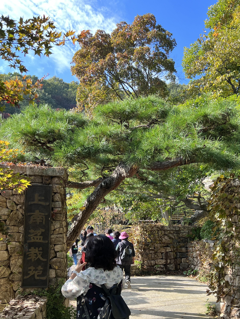 화담숲 분재원