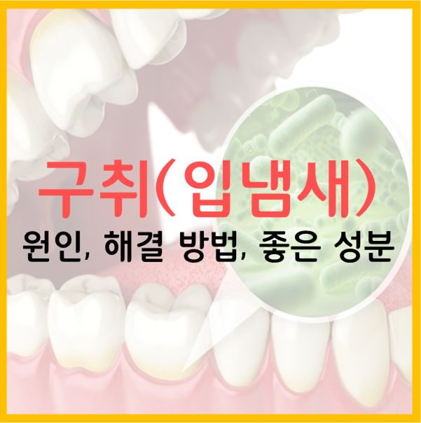  구취(입냄새)의 원인, 해결 방법, 좋은 성분 및 제품 고르는 법