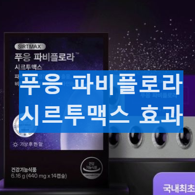 시르투인 푸응 파비플로라 성분과 다이어트 효과 내돈내산 후기