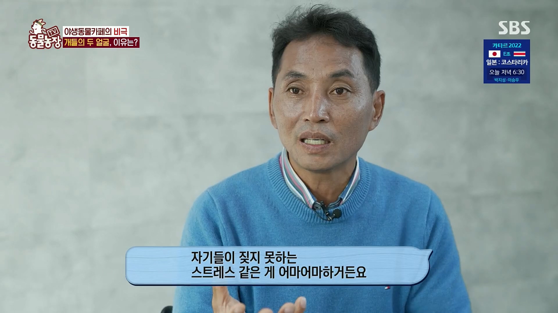 TV 동물농장.E1097.221127p.H264-F1RST.mp4_20221127_181714.712.jpg