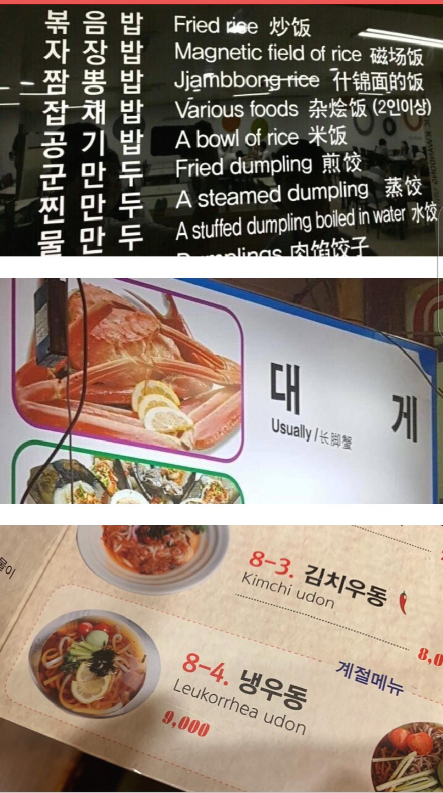  번역기 오류