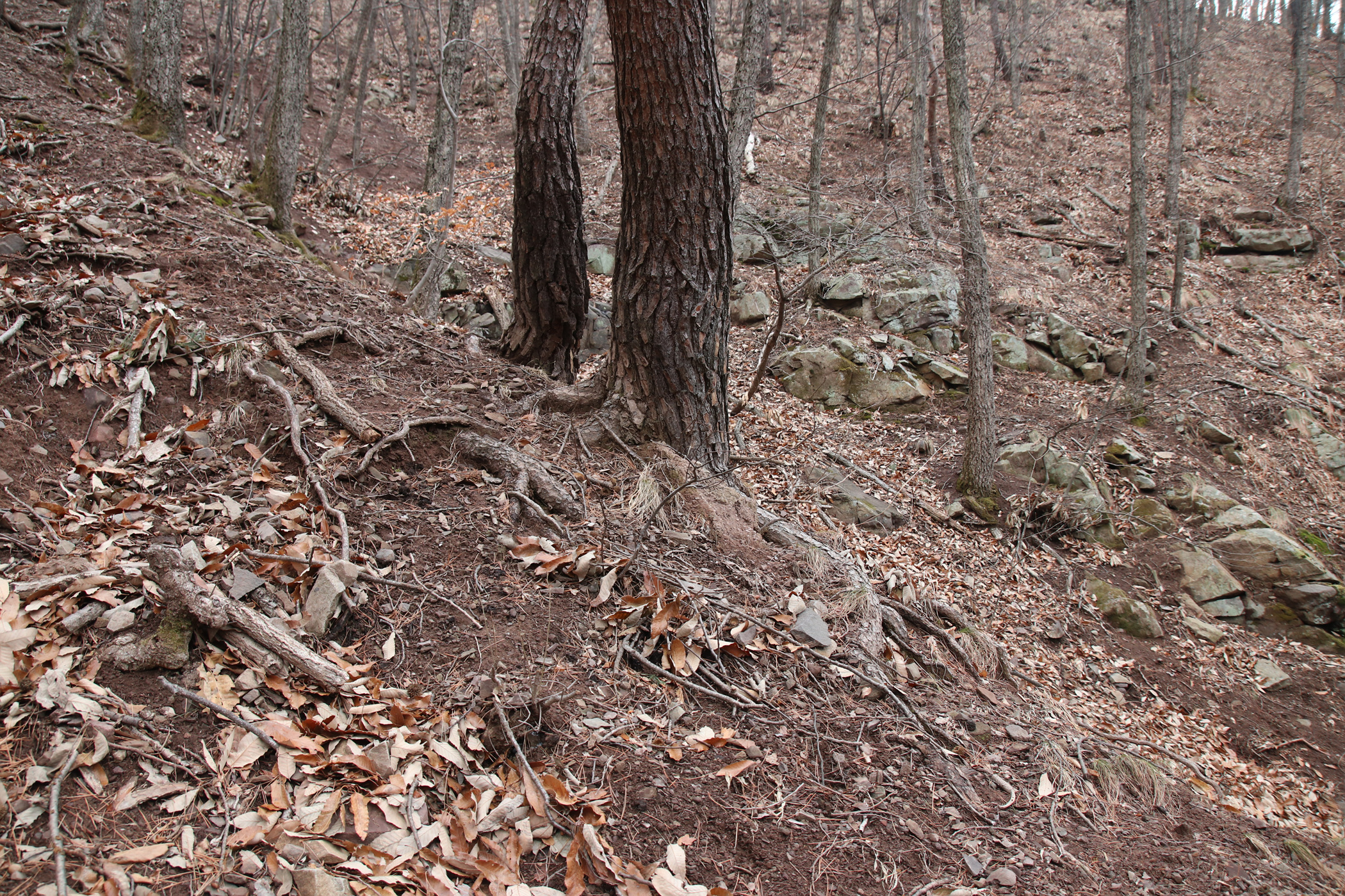 경남 의령군 국사봉 05 48