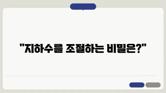 토질역학에서의 지하수 압력과 배수 시스템