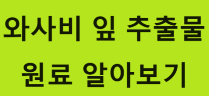  2024 와사비 잎 추출물 주요 성분과 기능성 일일 섭취량 다이어트