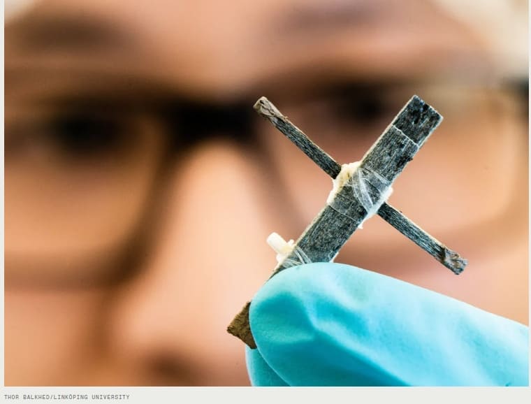 세계 최초 나무 트랜지스터...살아있는 식물에 이식 가능 VIDEO: The World’s First Wooden Transistor