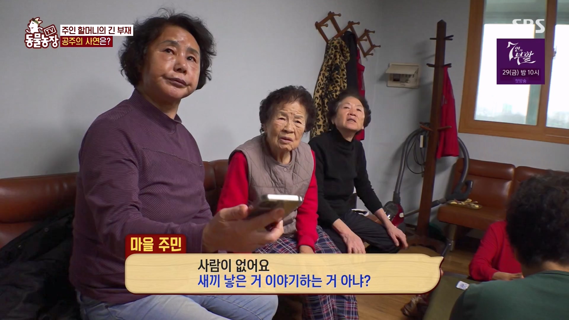 TV 동물농장.E1163.240317p-NEXT.mp4_20240317_171052.051.jpg