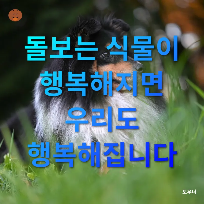 원예 반려식물_3