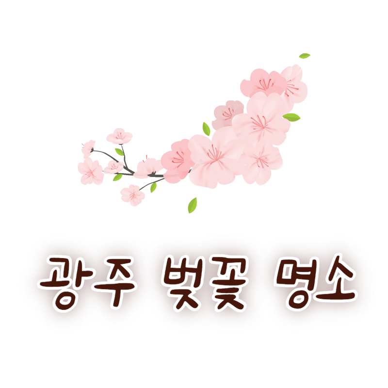 광주 벚꽃 명소