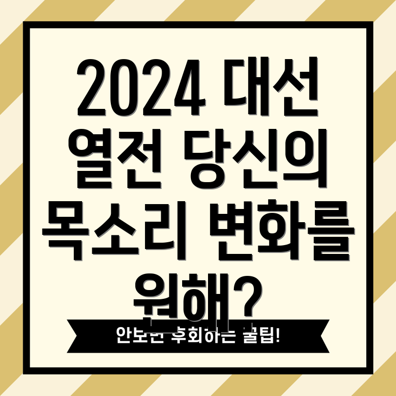 2024년 미국 대선