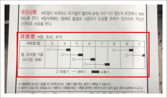 시금치 파종시기