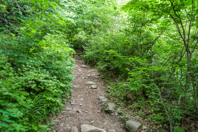 한국 명산 경기 가평 여행 명지산 등산 mountain hiking