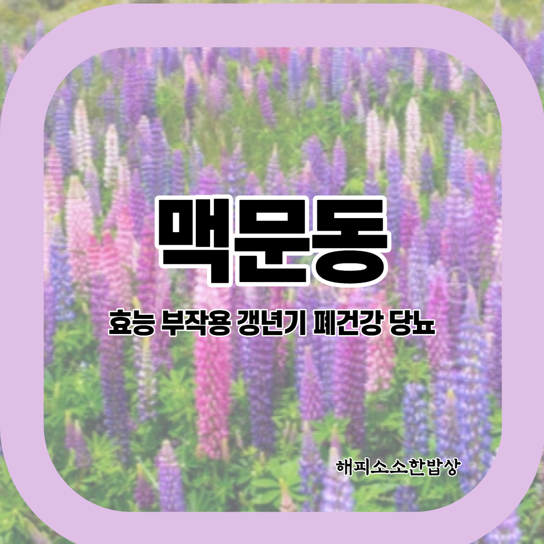  맥문동 부작용 및 효능 먹는방법 알아보기