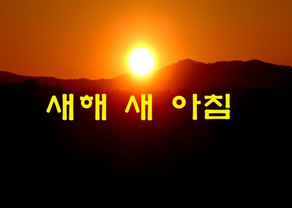 해 이미지