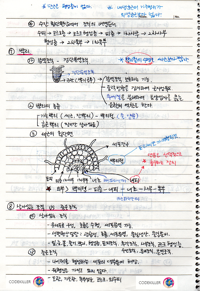  [수목생리학] 뿌리