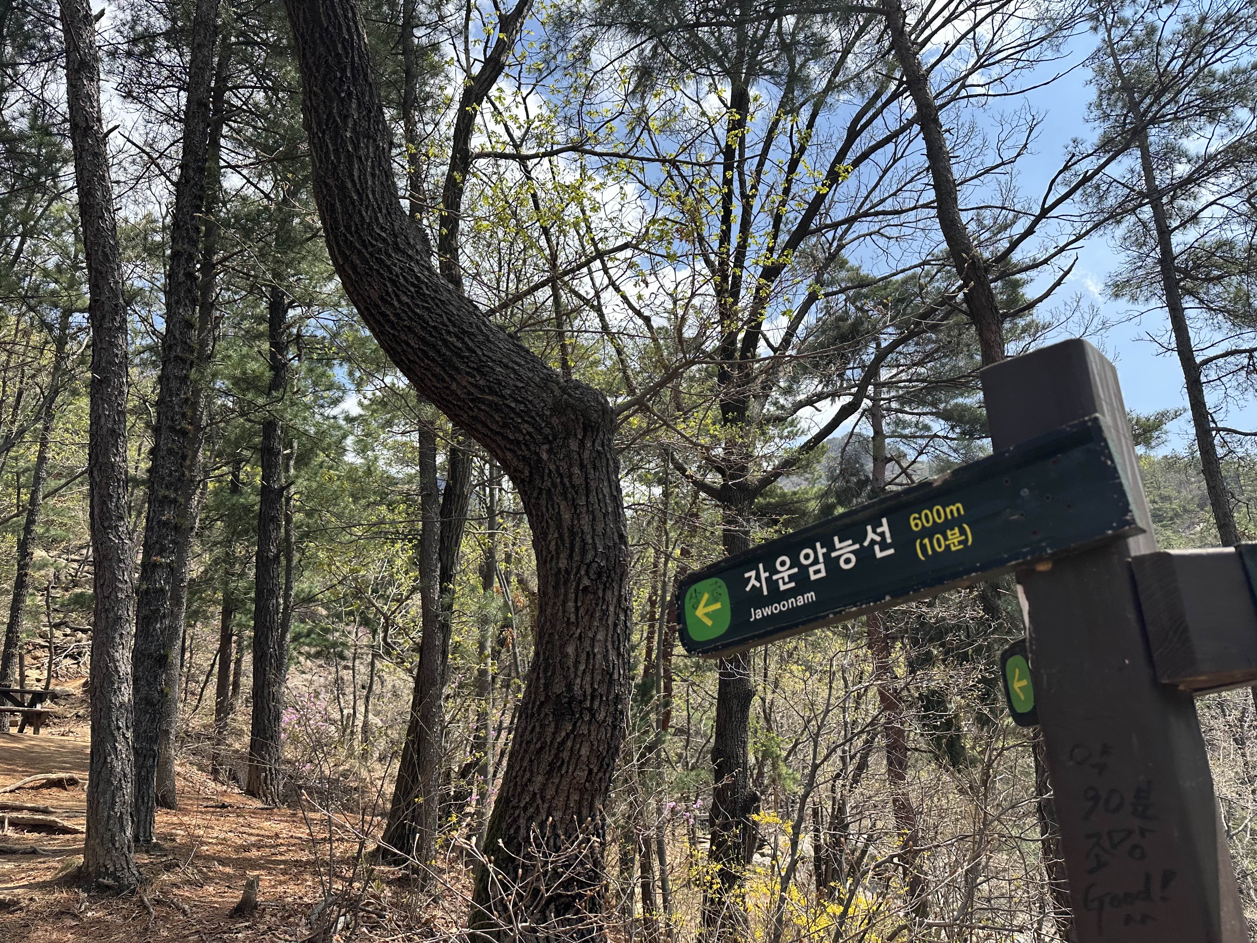 서울-등산-관악산-자운암능선