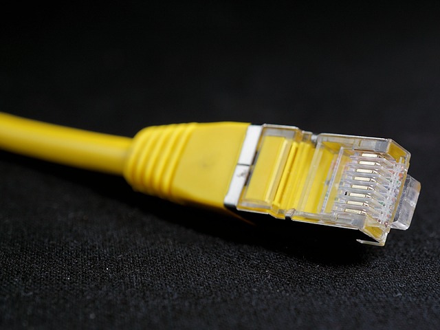디자인물처럼 이미지