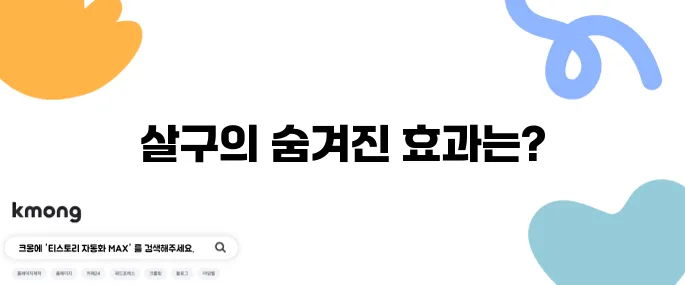 살구의 효능 10가지와 그 부작용을 알아보자!