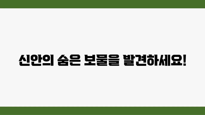 신안 가볼만한 곳 베스트10 (전남 신안 여행지 추천 코스)