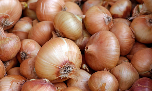 관상동맥질환에 좋은 음식 10가지