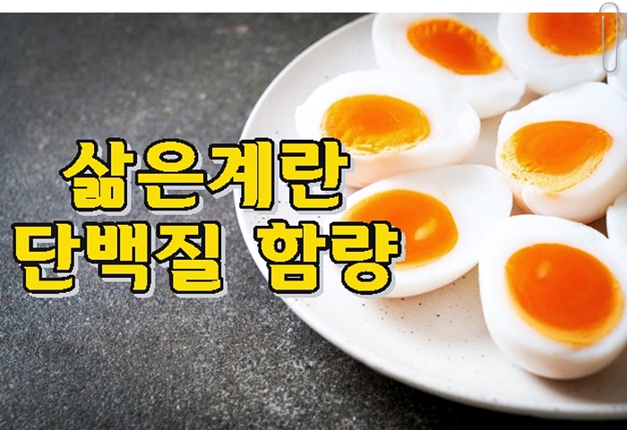 삶은계란 흰자 단백질 함량 효능 알고먹자! 삶은계란 흰자 단백질 함량 효능 알고먹자!