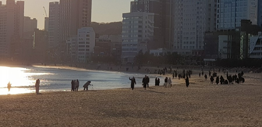 티비조선3 [방송촬영]렌트카차량지원 9