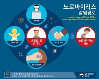 노로바이러스 증상 빠르게 대처하는 방법_16