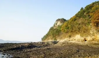 효자도 배시간표 배편 예매 요금 민박_20