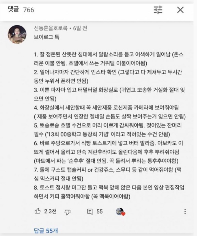 브이로그 유튜버 특징.jpg