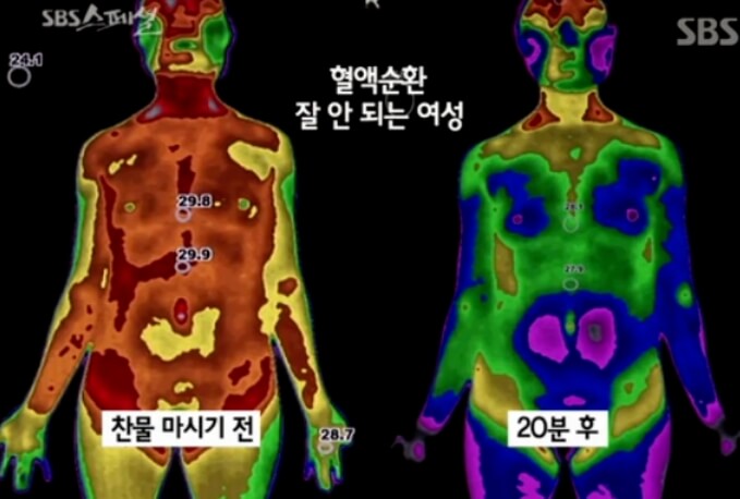 찬물을 마신 전후의 체온 변화