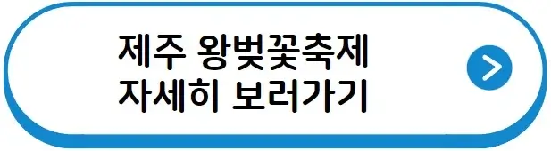 제주 왕벚꽃축제 보러가기