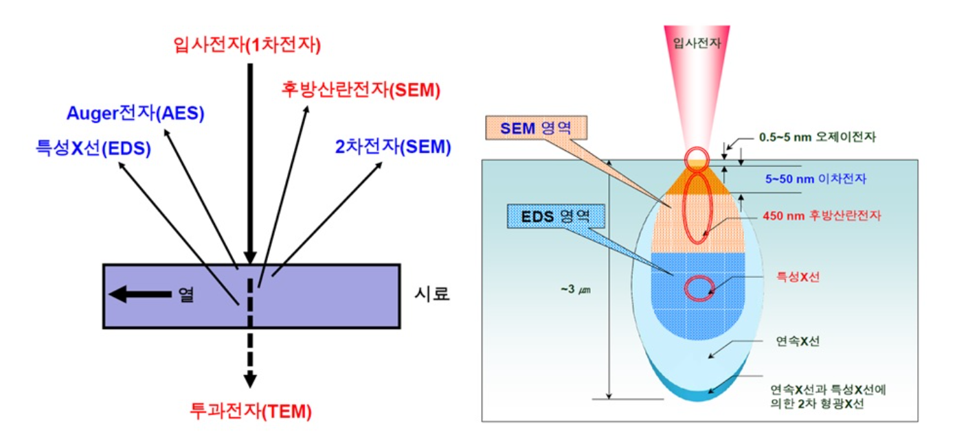 FE-SEM-Principle