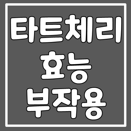 타트체리 효능