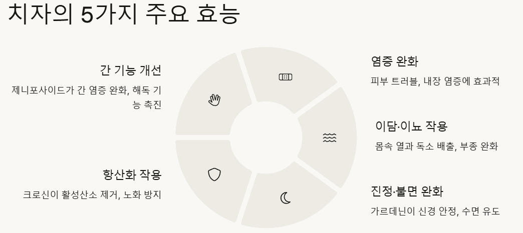 치자의 5가지 주요 효능 예시