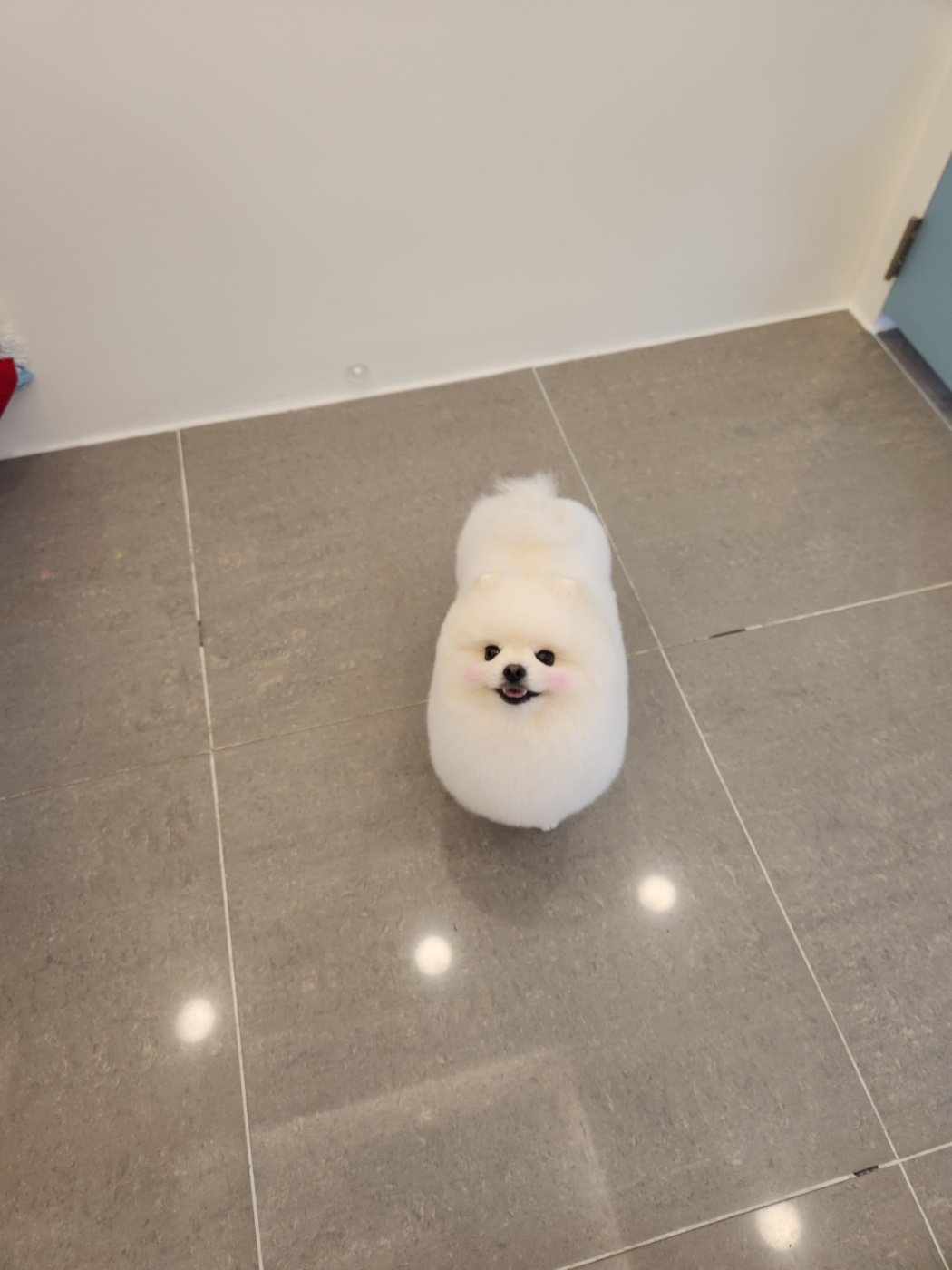 포도미용실 이미지