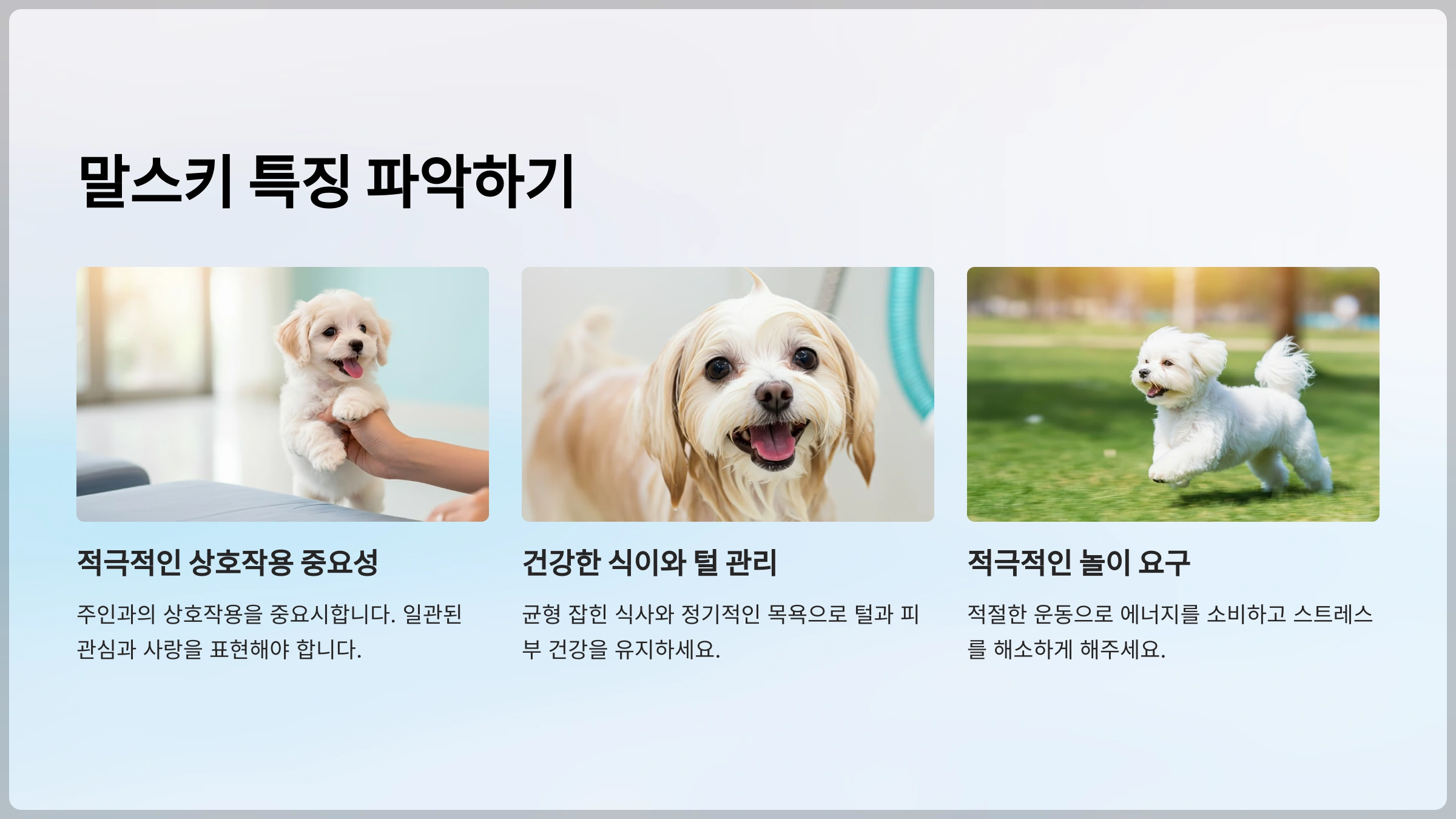 말스키 특징