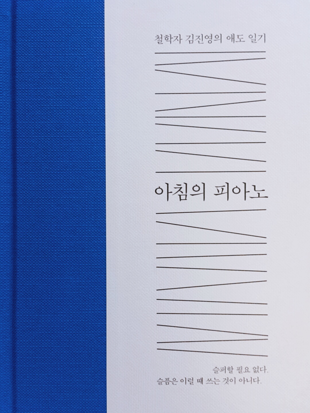  아침의 피아노 - 김진영