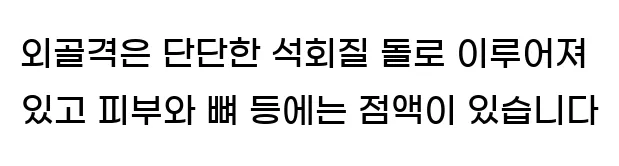  외골격은 단단한 석회질 돌로 이루어져 있고, 피부와 뼈 등에는 점액이 있습니다.