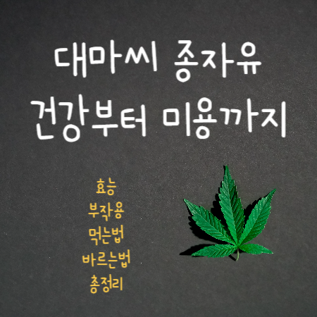 대마씨종자유