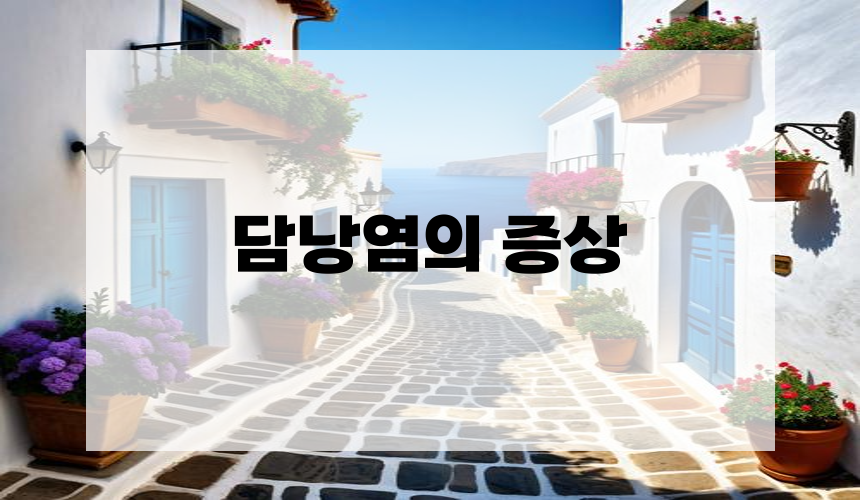 담낭염의 증상