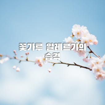  꽃가루 면역 치료란?