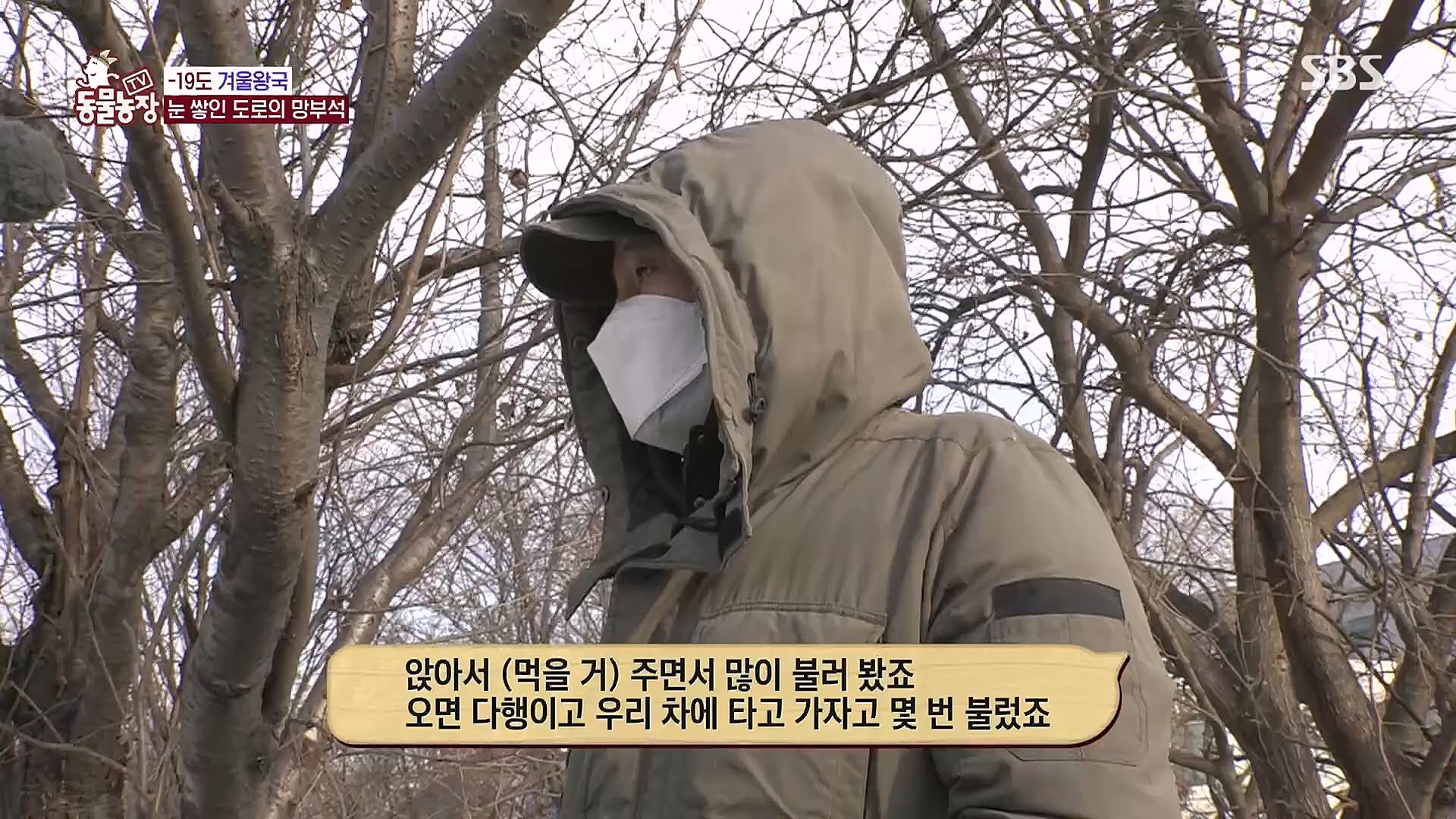 TV 동물농장.E1104.230115p.H264-F1RST.mp4_20230115_173213.730.jpg