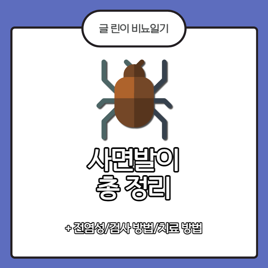 사면발이 총 정리
