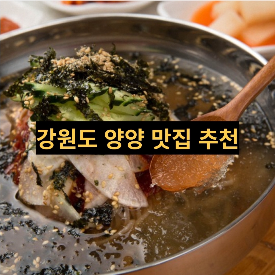  강원도 양양 맛집 추천 - 보쌈과 막국수로 유명한 실로암 메밀국수