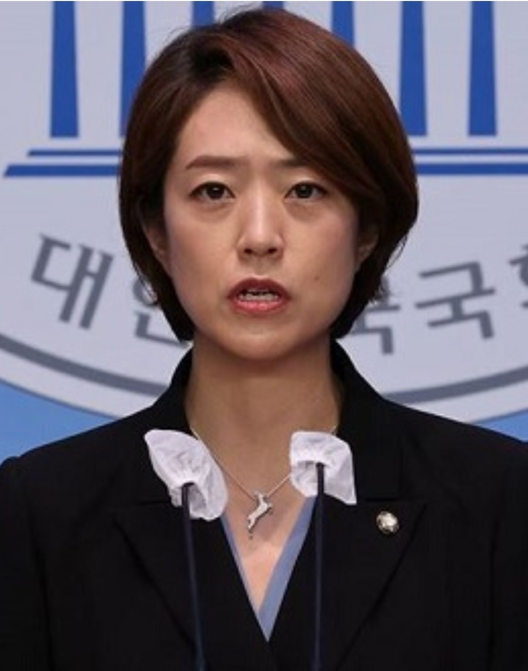  김영민 개그맨 고민정 사건 정리