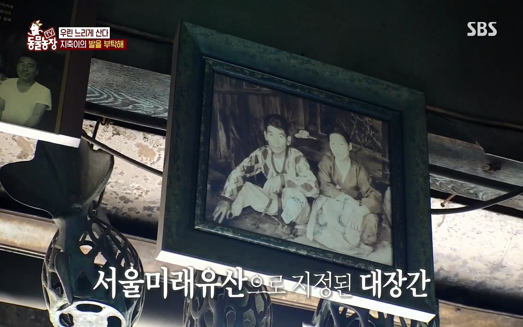 TV 동물농장.E1074.220619p.H264-F1RST.mp4_20220619_181830.005.jpg