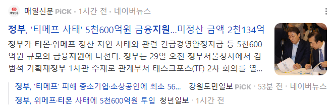 정부지원