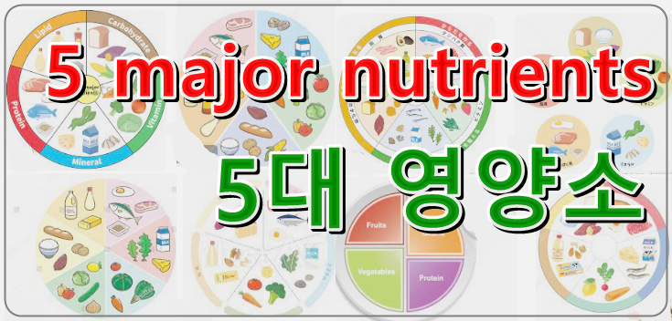5대 영양소 Five major nutrients