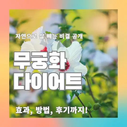 무궁화 다이어트