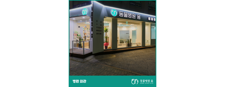 서울 은평구 동물병원