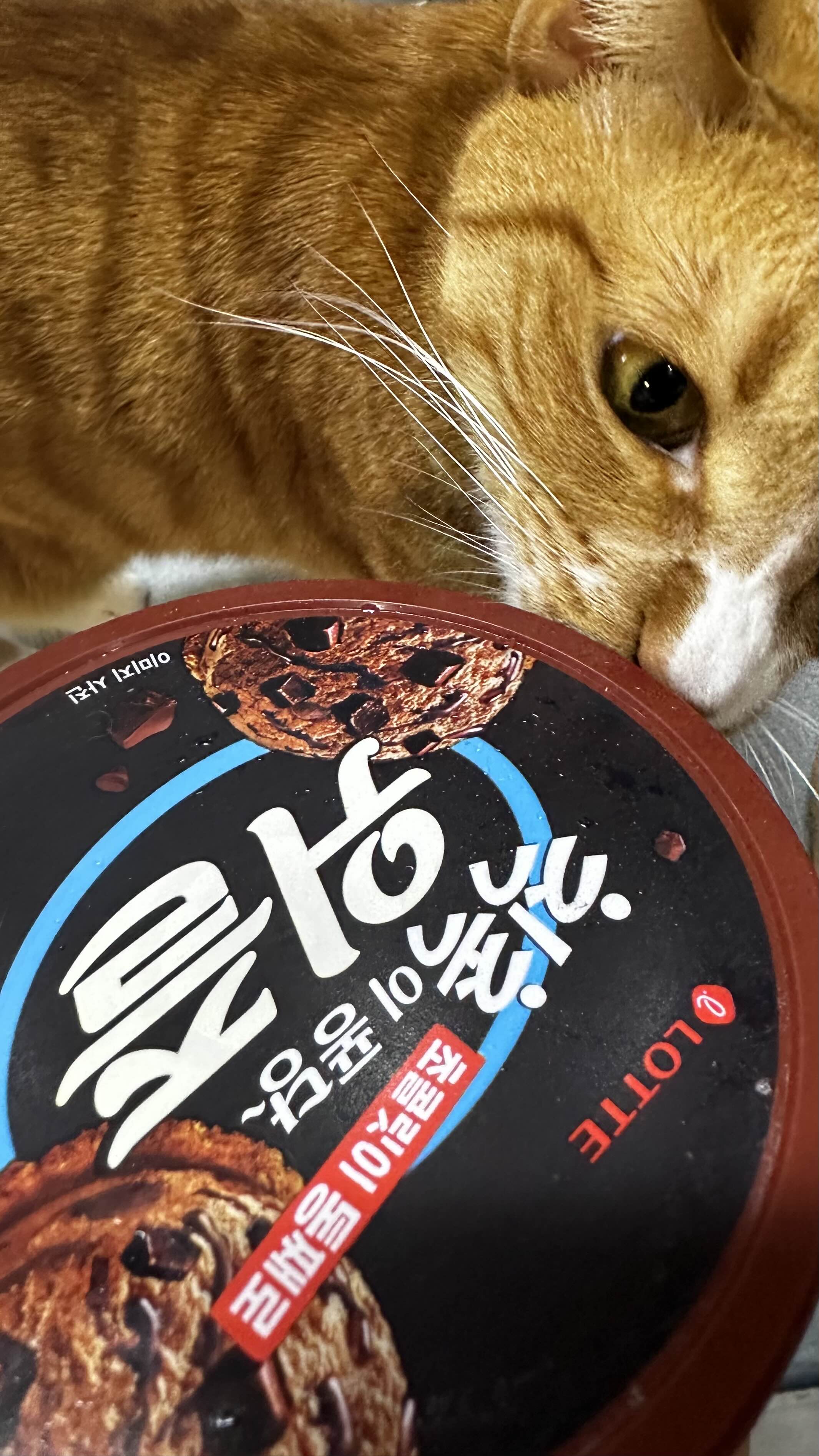 꾸덕 이미지